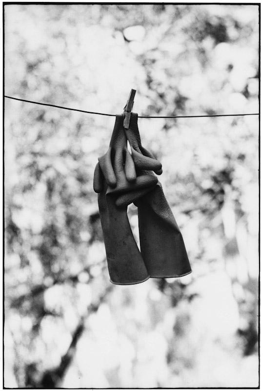 &copy; Elliott Erwitt